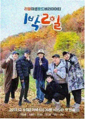 一起去露营吧 现场
